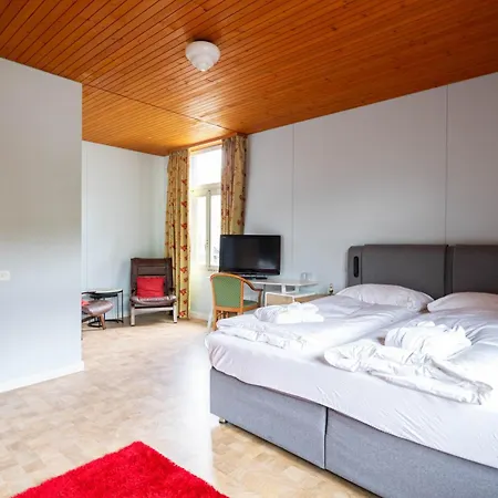 Hotel Wildstrubel 3*