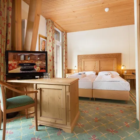 Wildstrubel Hotel Lenk