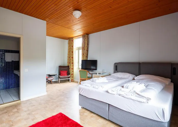 Hotel Wildstrubel 3*